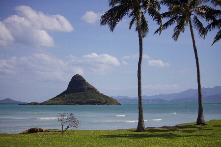 Beach landscape sea coast Photo