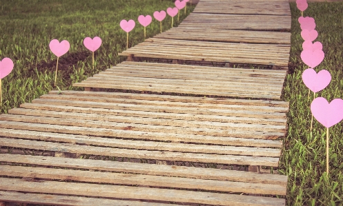 Path deck wood flower Photo