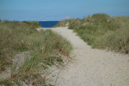 Beach sea coast sand Photo