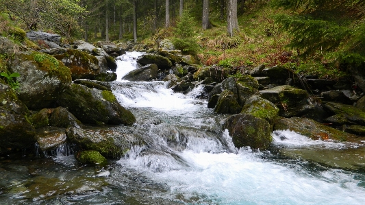 Landscape water nature forest Photo