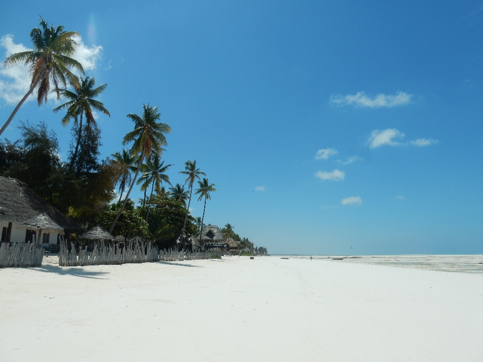 Beach landscape sea coast