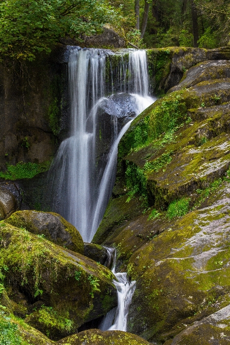 Wasser natur wald wasserfall