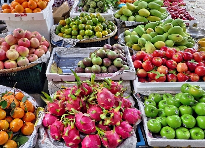 Foto Tanaman buah kota makanan