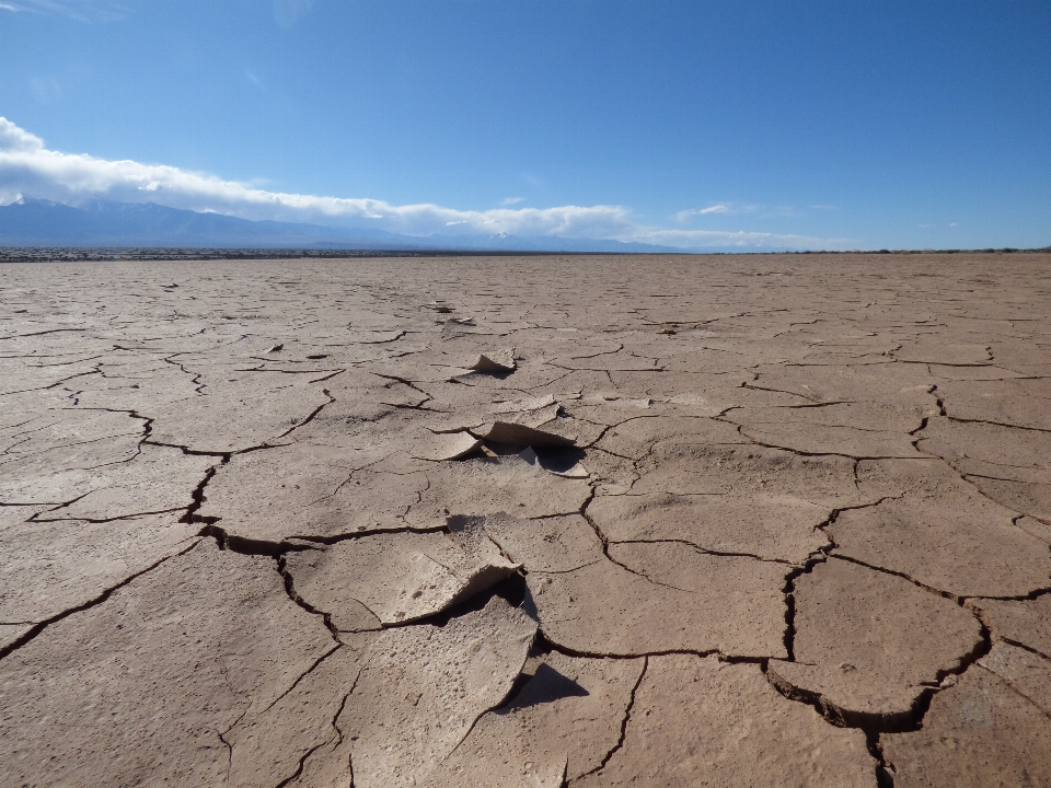 Landschaft meer sand horizont