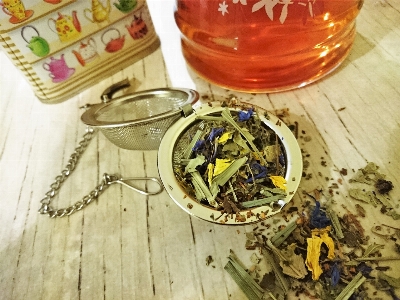 Teacup tee herbs infusion Photo