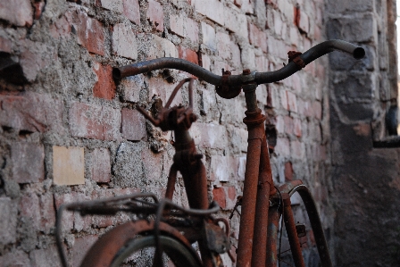 木 車輪 年 自転車 写真