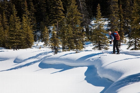 Landscape nature snow winter Photo