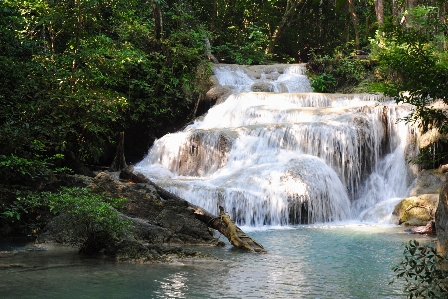 Landscape water nature forest Photo