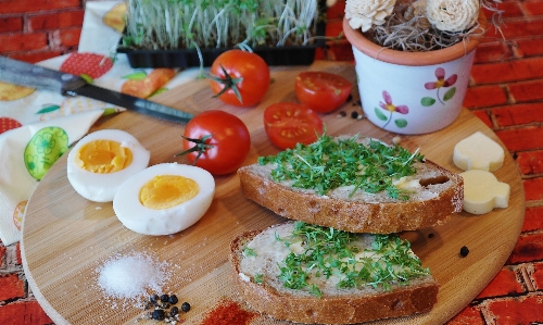 Feed decoration dish meal Photo