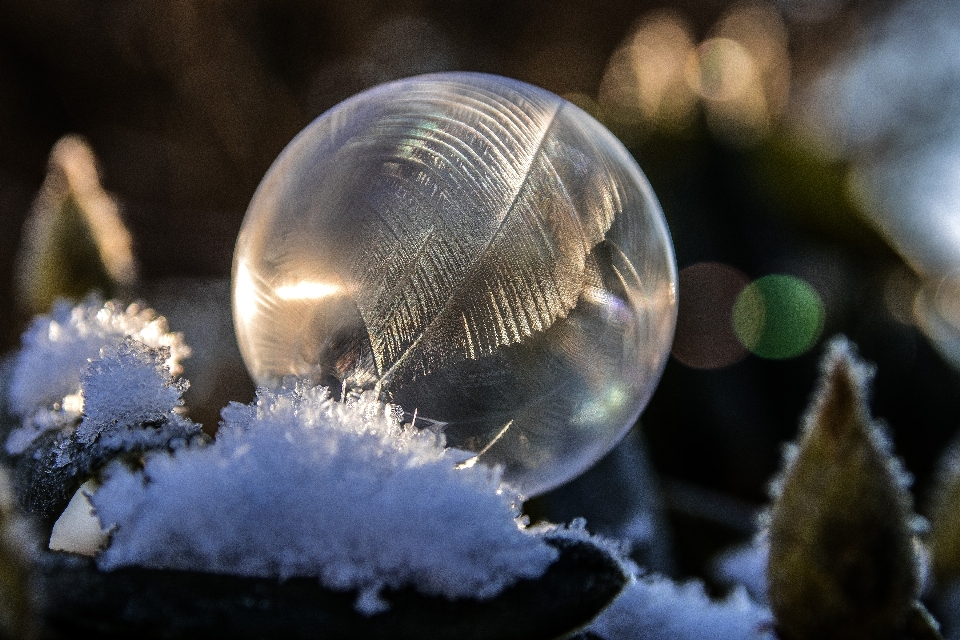 Acqua natura freddo inverno