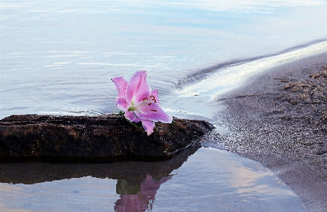 Beach sea coast water Photo