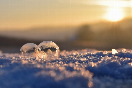 Sea nature horizon snow Photo