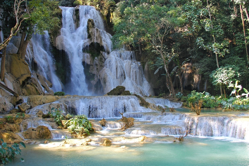 水 滝 stream 密林