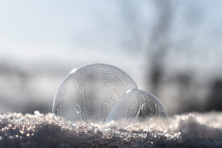 Landscape sea water snow Photo