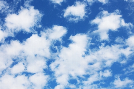 地平線 クラウド 空 日光 写真