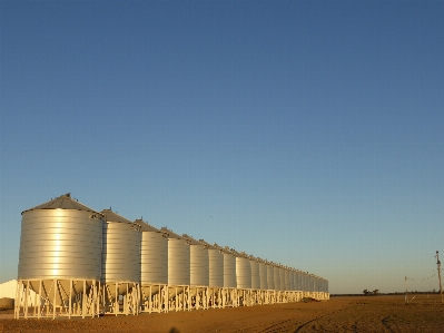 Horizon sky farm wheat Photo