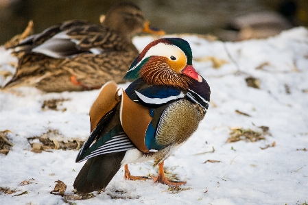 Zdjęcie Krajobraz woda natura na wolnym powietrzu