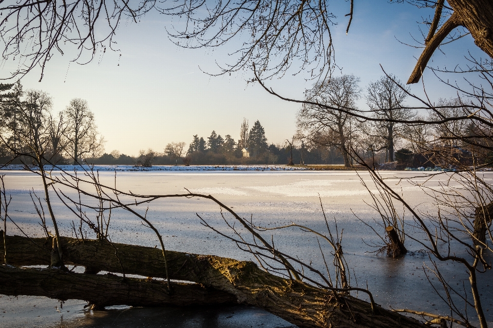 Krajobraz drzewo woda natura