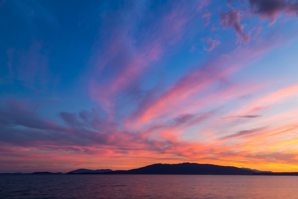 海 海岸 水 海洋