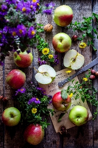 Apple anlage frucht blume Foto