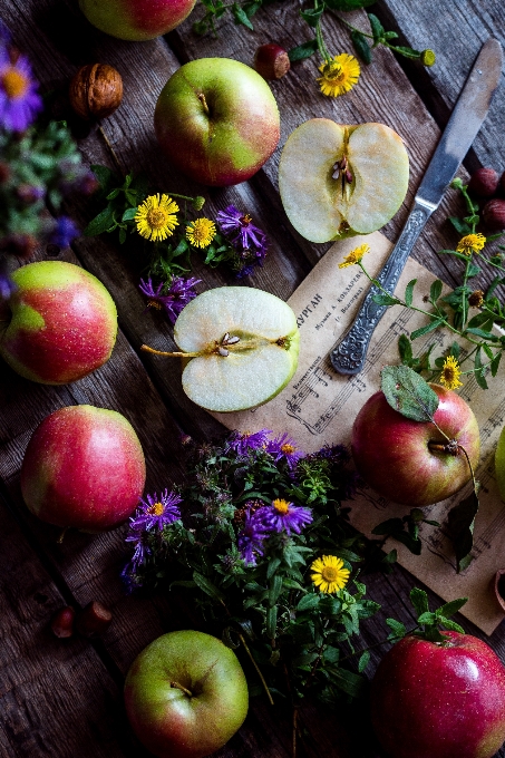 Apple 식물 과일 여름