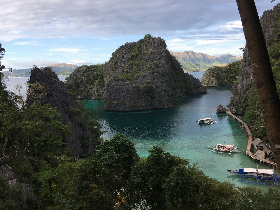 風景 海 海岸 自然