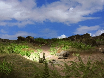 風景 草 荒野
 山 写真