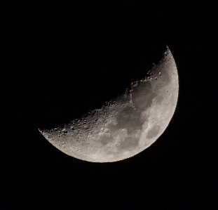 Nature wing sky night Photo