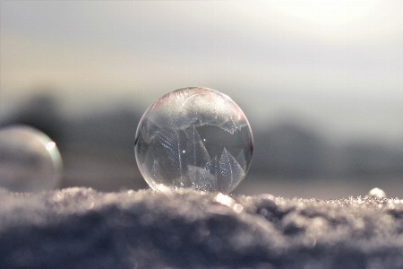 Foto Mare acqua nevicare freddo