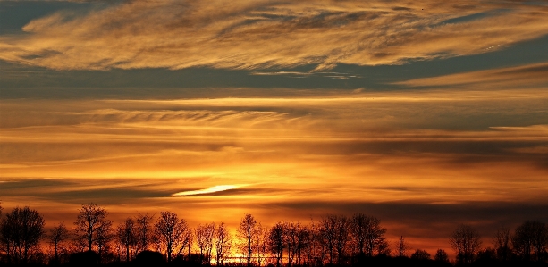 Landscape nature horizon winter Photo