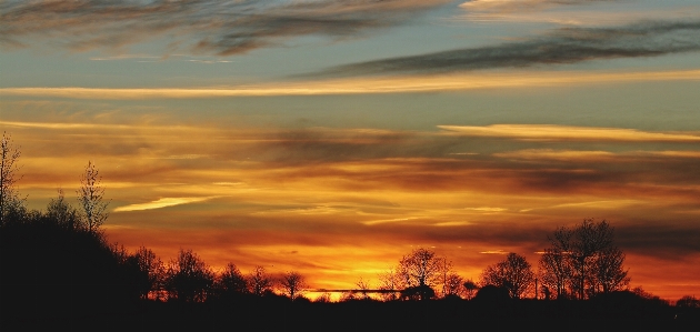 Landscape nature horizon winter Photo