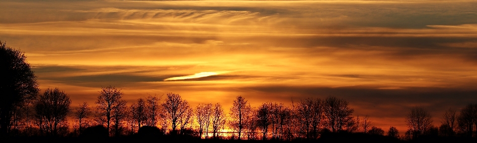 Landscape nature horizon winter