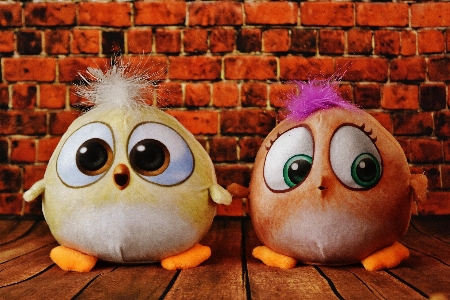 Bird cute toy owl Photo