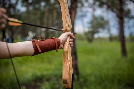 Hand forest leather game Photo