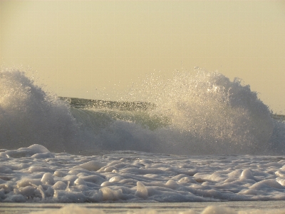 Beach sea coast water Photo