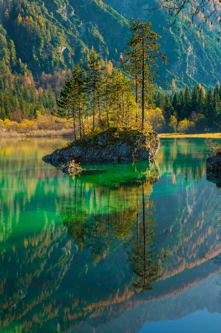 Landschaft baum wasser natur