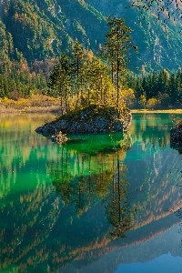 風景 木 水 自然 写真