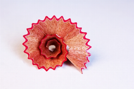 Wood leaf spiral flower Photo