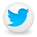 Twitter, logo, social network, button