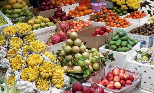 Foto Tanaman buah kota makanan