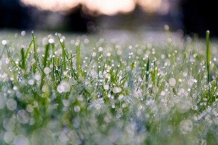 Landscape water nature grass Photo