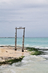 Beach sea coast water Photo