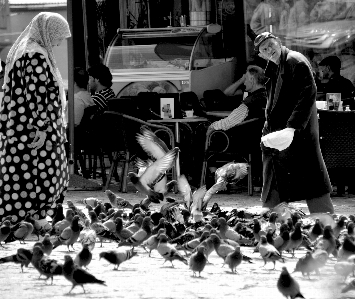 Foto Bianco e nero
 nero vita di città
 monocromo