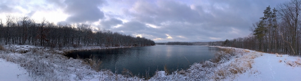 風景 木 水 自然