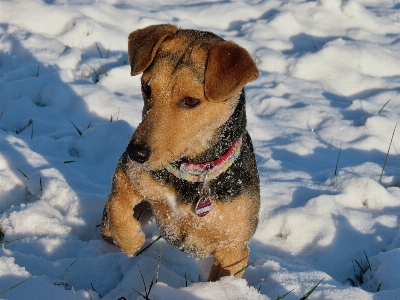 自然 アウトドア 雪 冬 写真