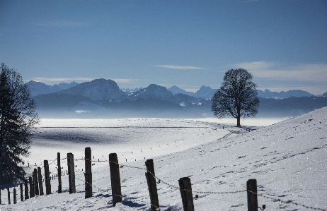 Landscape tree nature mountain Photo