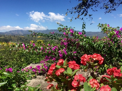 Foto Paisaje naturaleza exterior horizonte