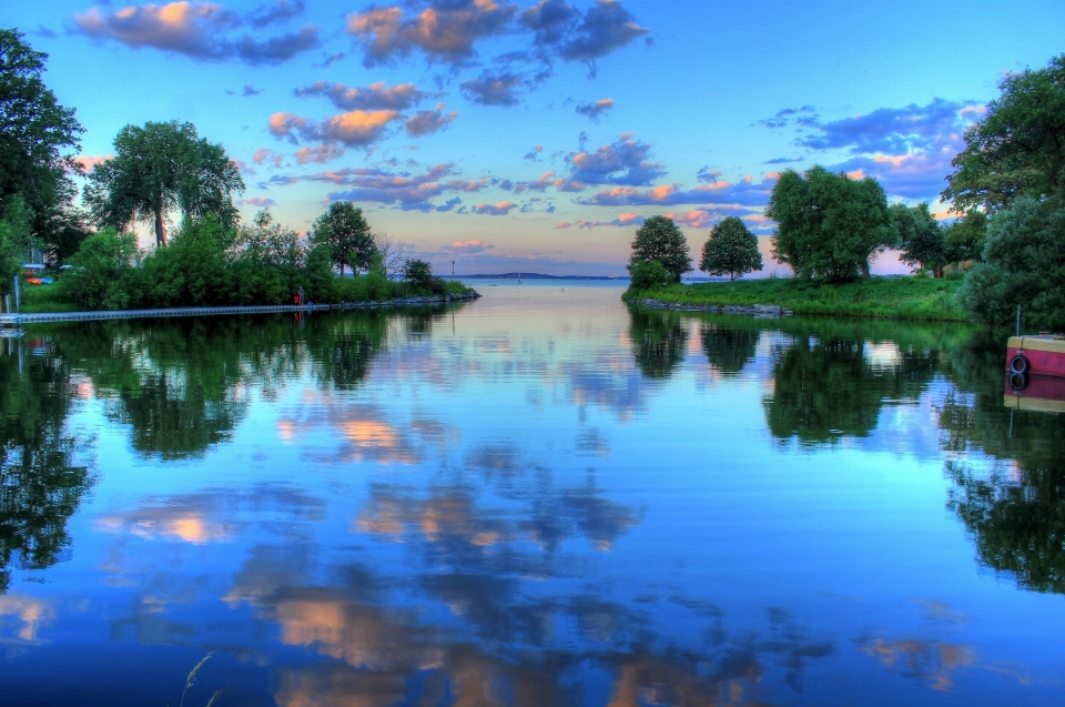 Landscape tree water sunset