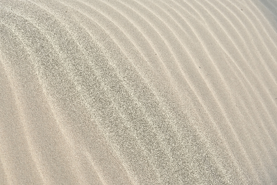 Sand white texture wave