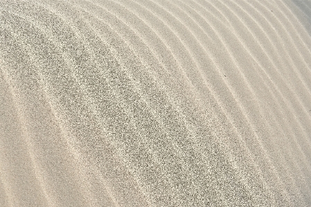 Sand white texture wave Photo